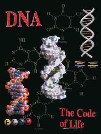 DNA- The Code of Life Shirt - Click Image to Close