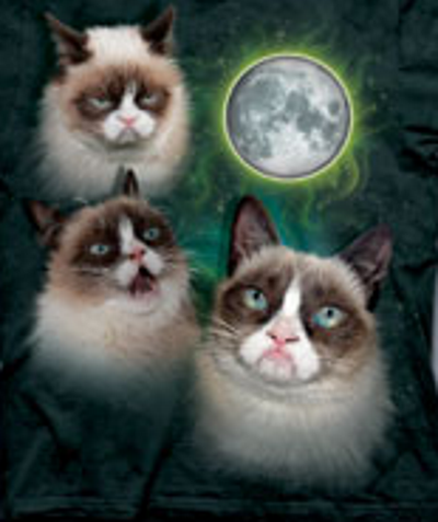 3 Grumpy Cat Moon T-Shirt - Click Image to Close