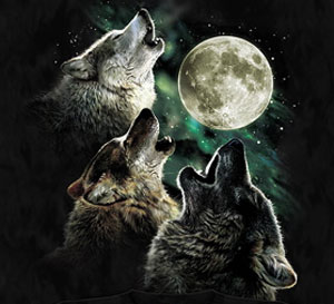 Three Wolf Moon Shirt