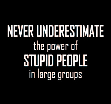 Never Underestimate the power of Stupid People in Large Groups T