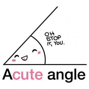 A Cute Angle Womens Cut T-Shirt