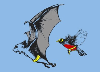 Bat and Robin T-Shirt - Click Image to Close