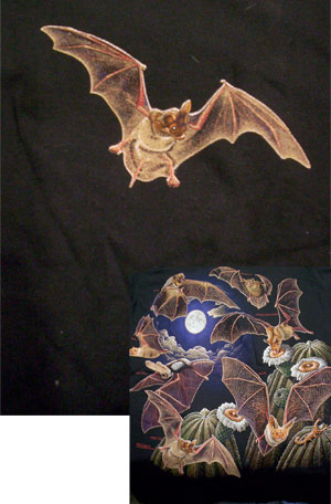 Bats of North America Shirt