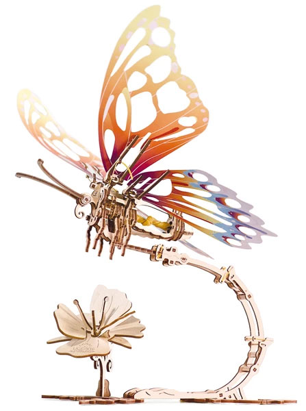 Butterfly Model - Click Image to Close