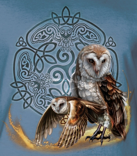 Celtic Owl Magic - Click Image to Close