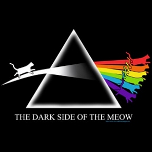 Dark Side of the Meow T-Shirt - Click Image to Close