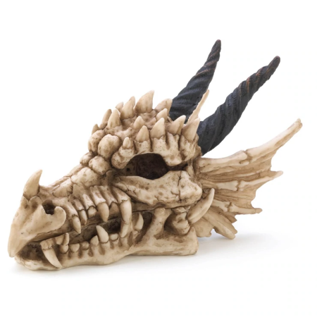 Dragon Skull Treasure Box - Click Image to Close