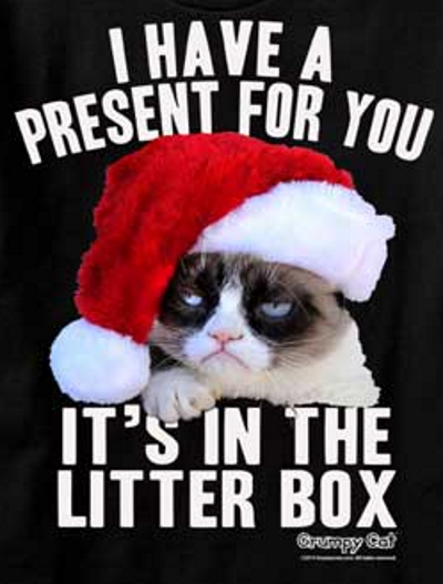 Grumpy Cat Present in the Litter Box T-Shirt - Click Image to Close