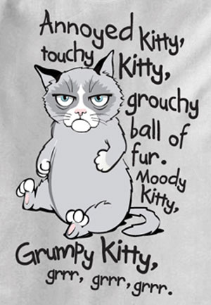 Grumpy Kitty Grr Grr Grr T-Shirt