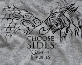 Choose Sides Lannister/Stark T-Shirt