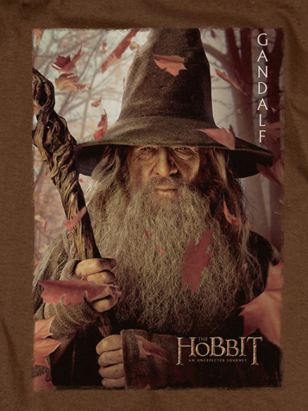 Gandalf Poster T-Shirt