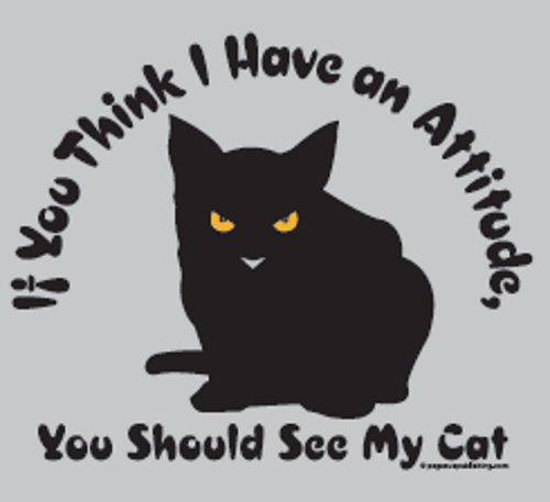 If You Think I Have an Attitude You Should See My Cat T-Shirt