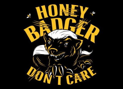 Honey Badger Don't Care Shirt