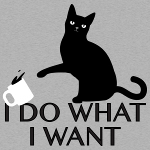 I Do What I Want T-Shirt