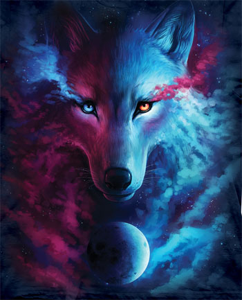 Where Light and Dark Meet Wolf T-Shirt