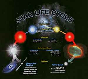 Star Life Cycle Shirt