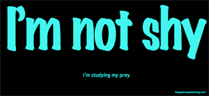 I'm Not Shy I'm Studying My Prey T-Shirt