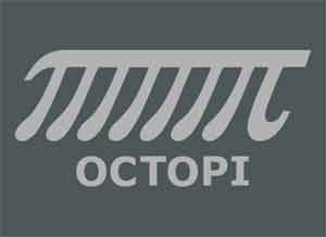 OctoPi T-Shirt