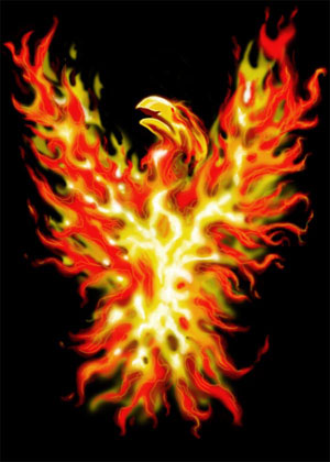 Phoenix on Black Shirt - Click Image to Close