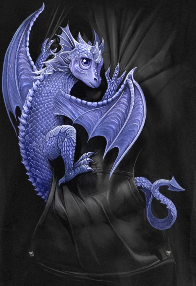 Pocket Dragon T-Shirt - Click Image to Close