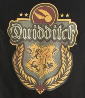 Quidditch T-Shirt - Click Image to Close