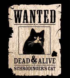 Wanted Dead and Alive Schroedinger's Cat T-Shirt