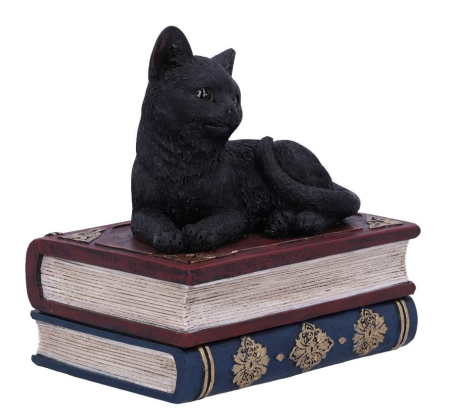 Salems Spells Witches Familiar Black Cat and Spellbook Box - Click Image to Close