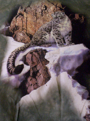 Snow Leopard Shirt - Click Image to Close