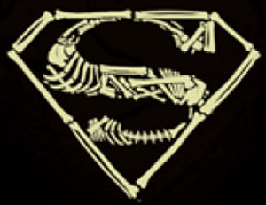 Superman Bones Shirt