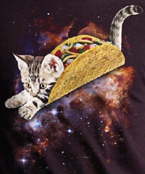 Taco Cat T-Shirt - Click Image to Close