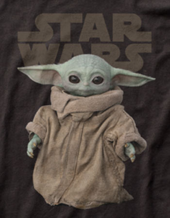 The Child (Baby Yoda/Grogu)