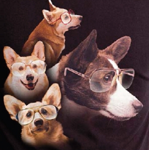 The Corgis T-Shirt - Click Image to Close