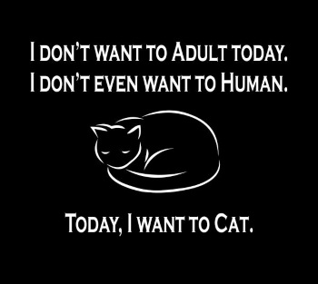 Today I Want to Cat T-Shirt