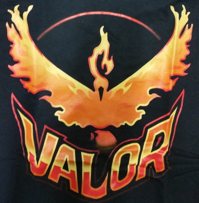 Valor T-Shirt - Click Image to Close