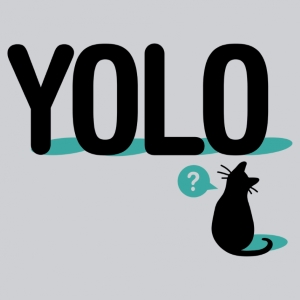 YOLO Cat T-shirt