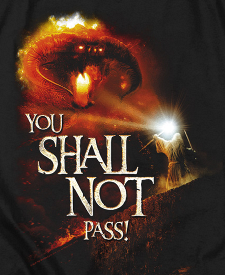 You Shall Not Pass Gandalf LOTR T-Shirt - Click Image to Close