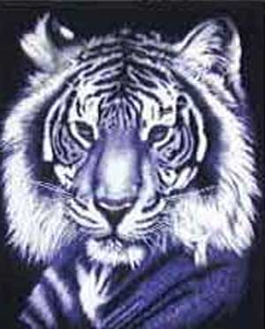 Brazos White Tiger Shirt - Click Image to Close