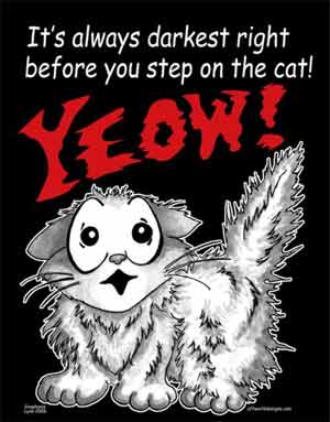 It's always Darkest Before You Step on the CAT! T-Shirt