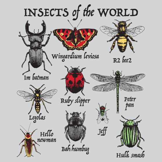 Insects of the World T-Shirt - Click Image to Close