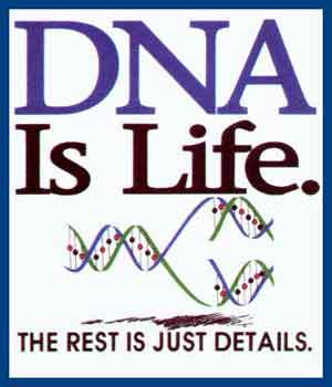 DNA is Life Shirt
